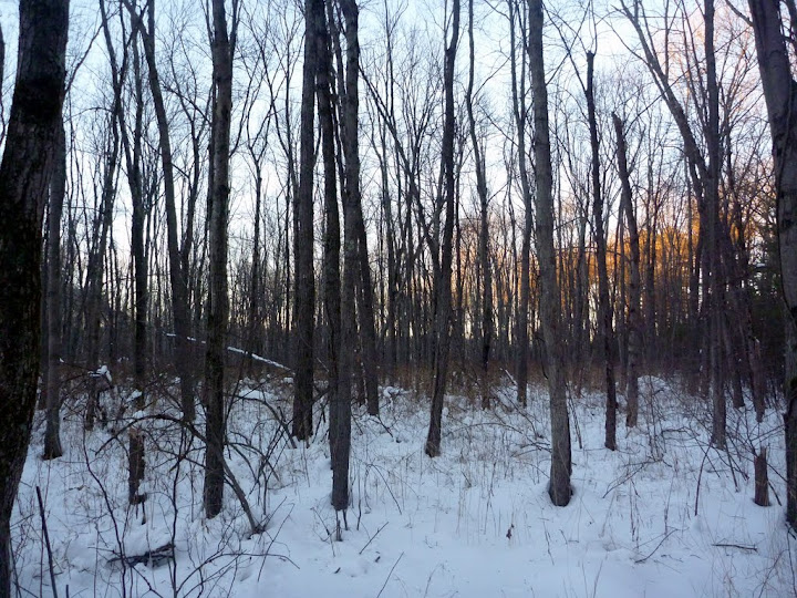 P1040640.JPG