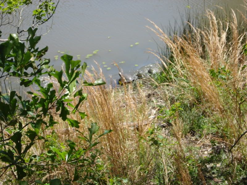 20090402_25.jpg