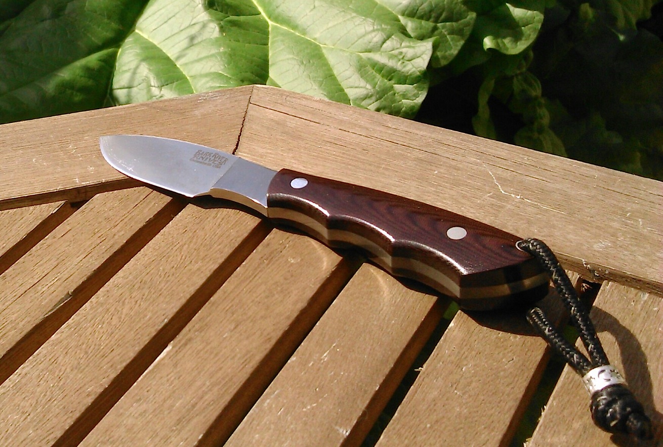 BRK-rhubarbe01.jpg