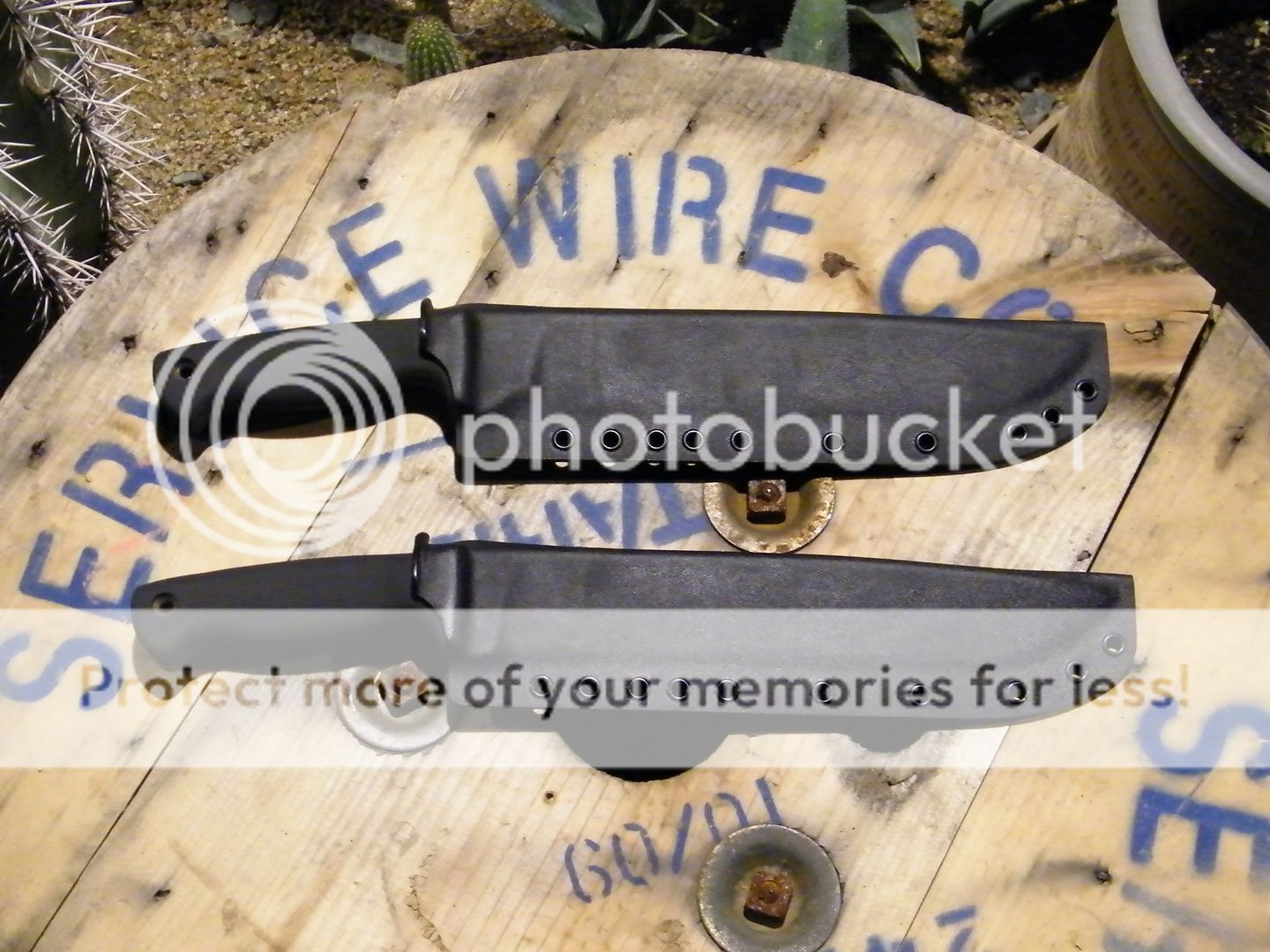 DSCF8108.jpg