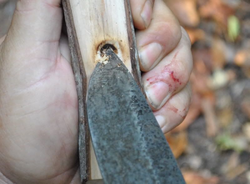 DSC_6462.jpg