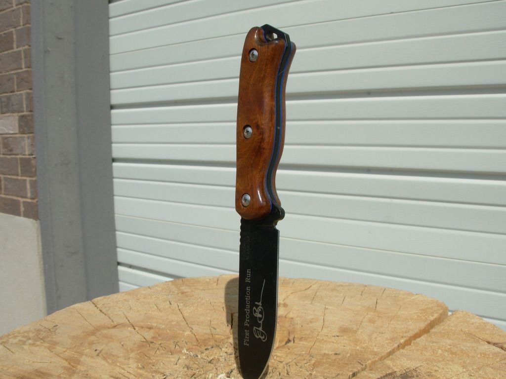 DSCN0962.jpg