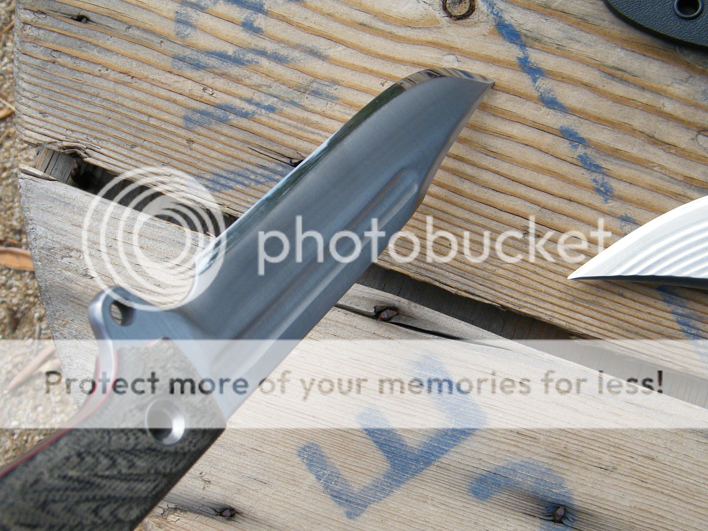 DSCF7816.jpg