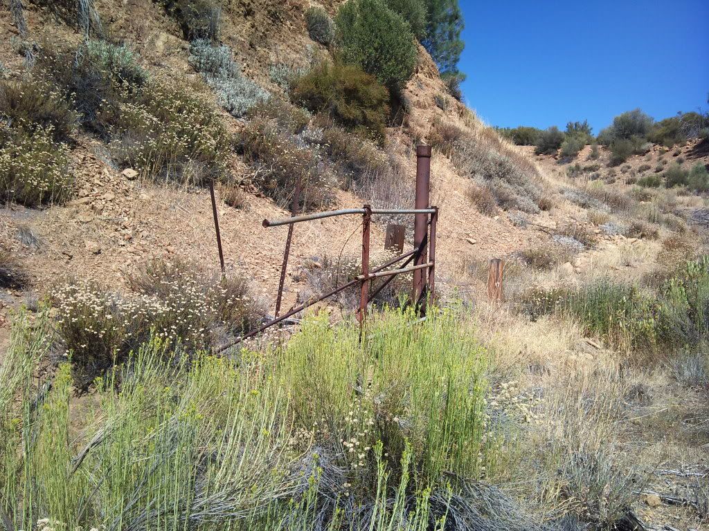 2011-08-09152322.jpg