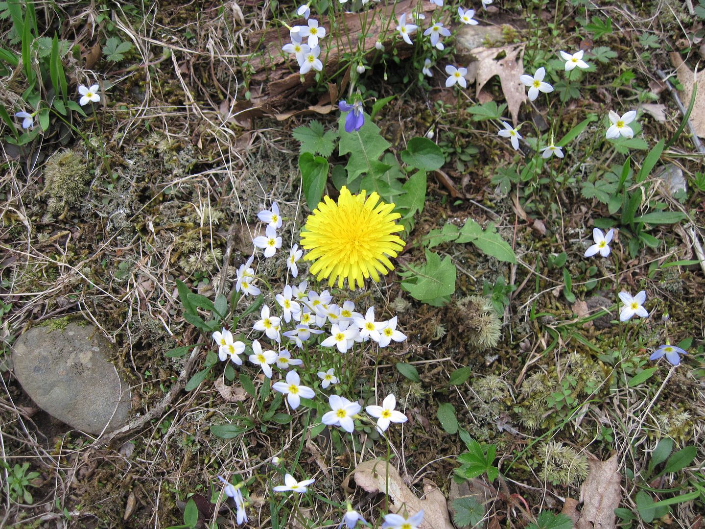 IMG_5469.jpg