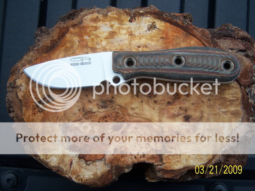 bussestuff067.jpg