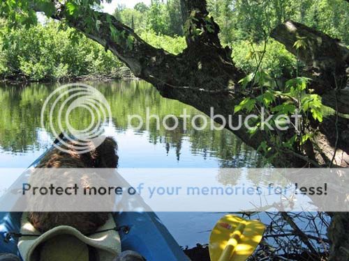 IMG_5003TALKAYAKSHADE500MED_zps2d113ef1.jpg