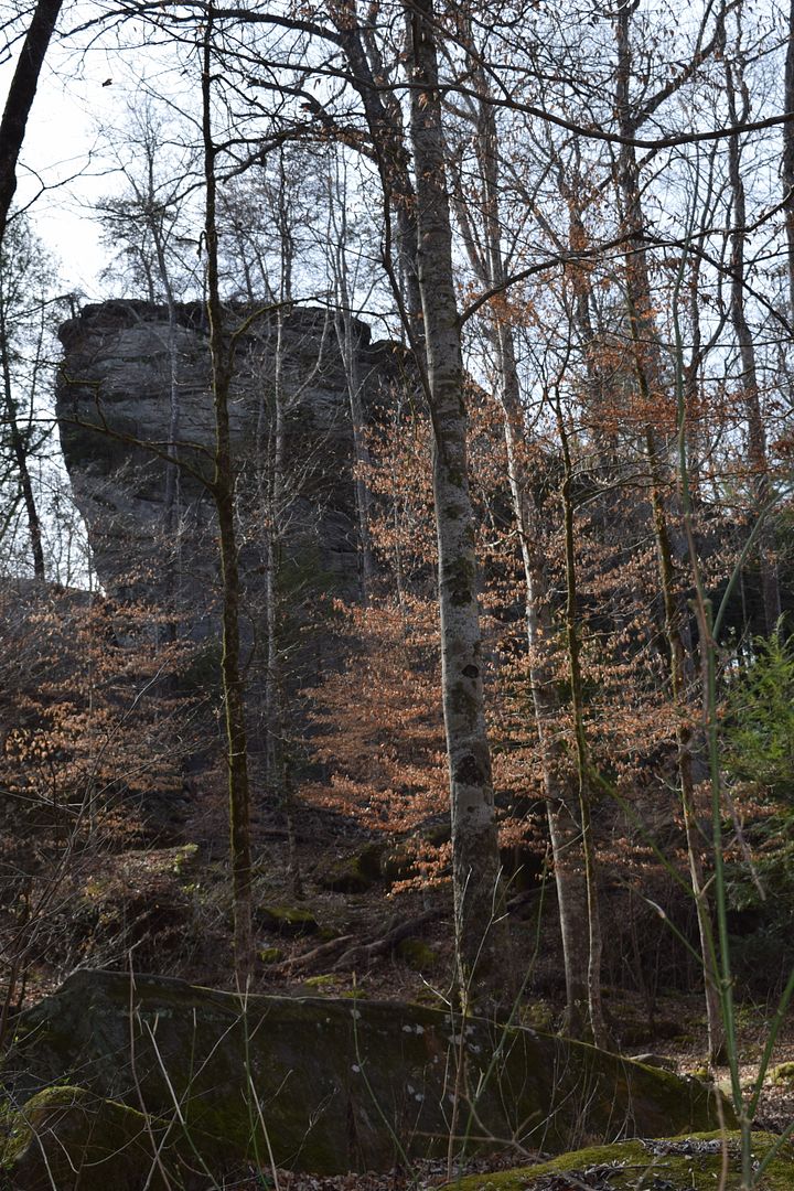 DSC_0025_zpsxe0opehz.jpg