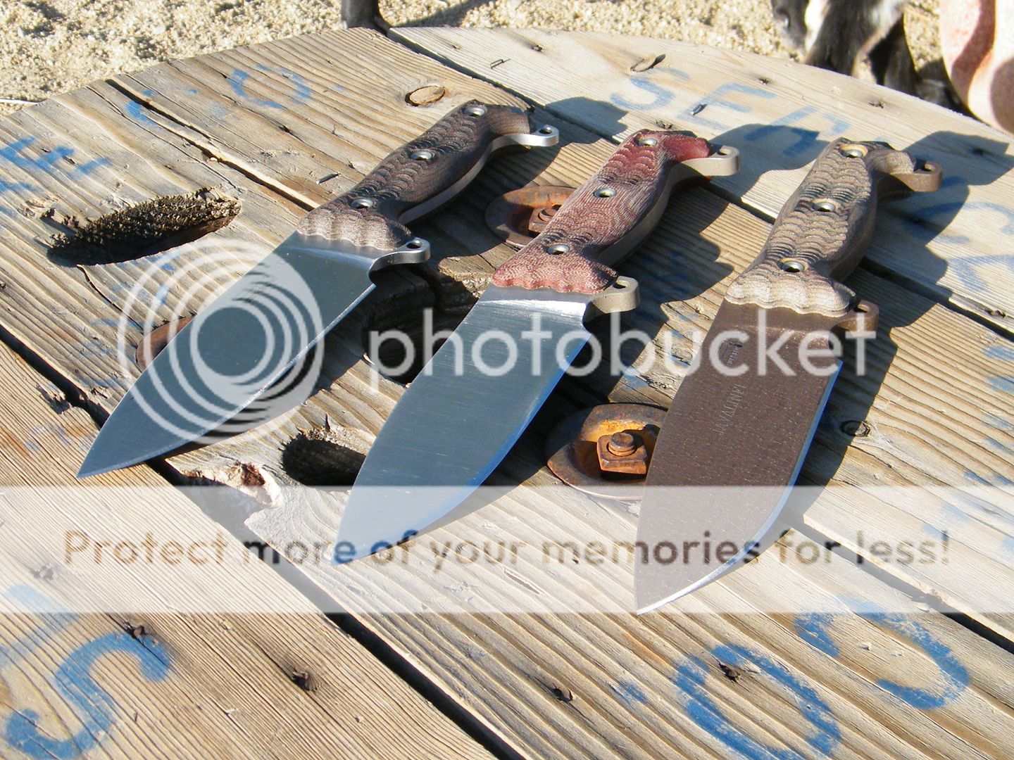 DSCF7898.jpg