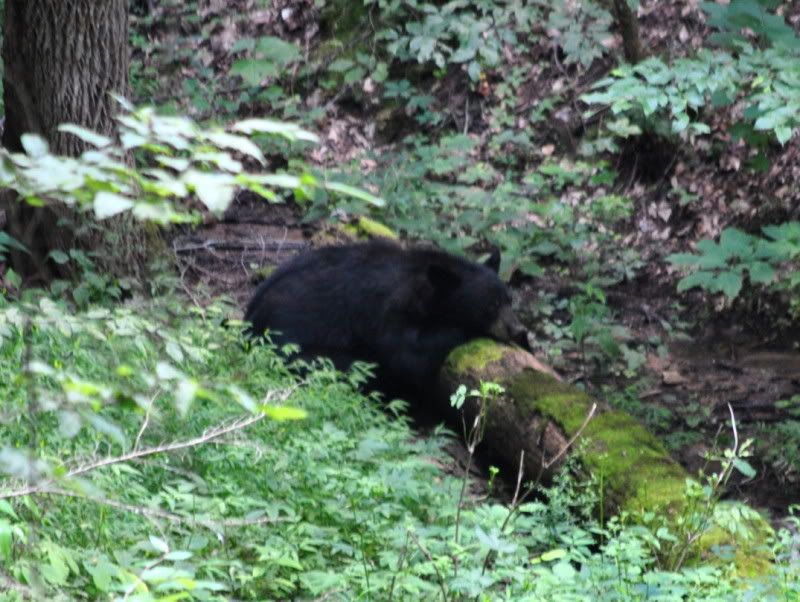 DSC_3943.jpg