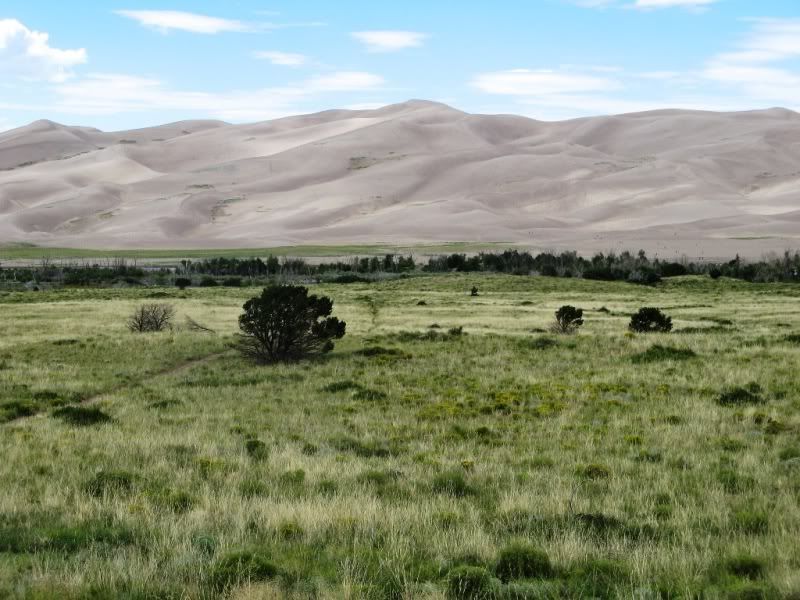 sanddunes.jpg
