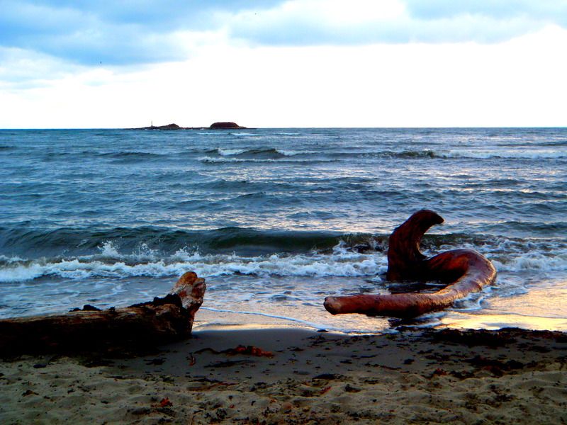 WittysLagoon2012009.jpg