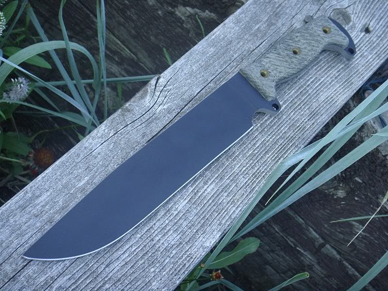 Busse-SHBM-1.jpg