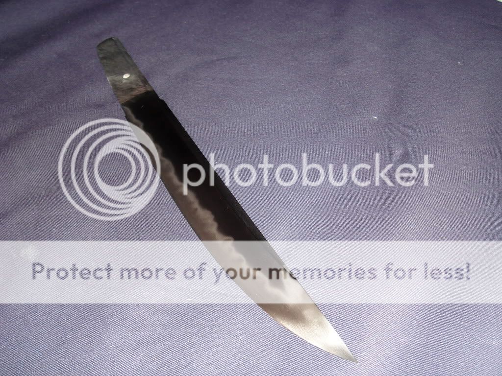 DSC03292.jpg