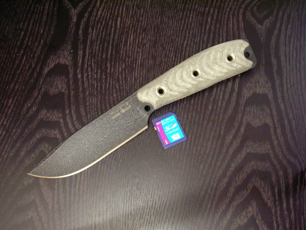 DSCN5643.jpg