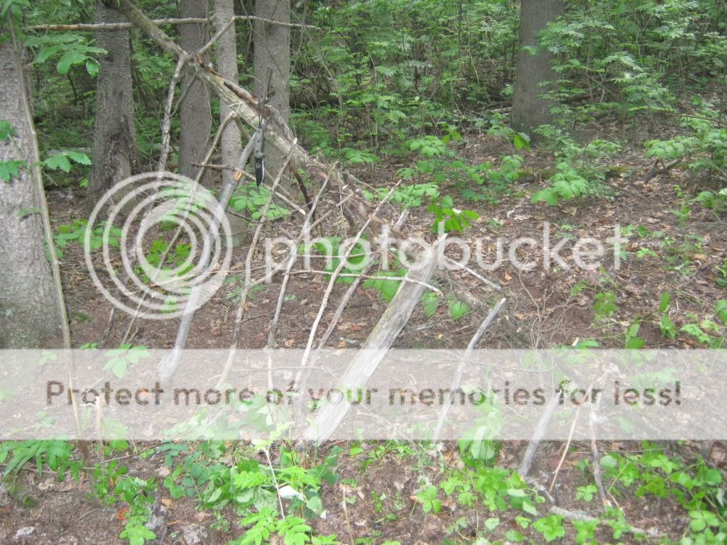 june192010017.jpg