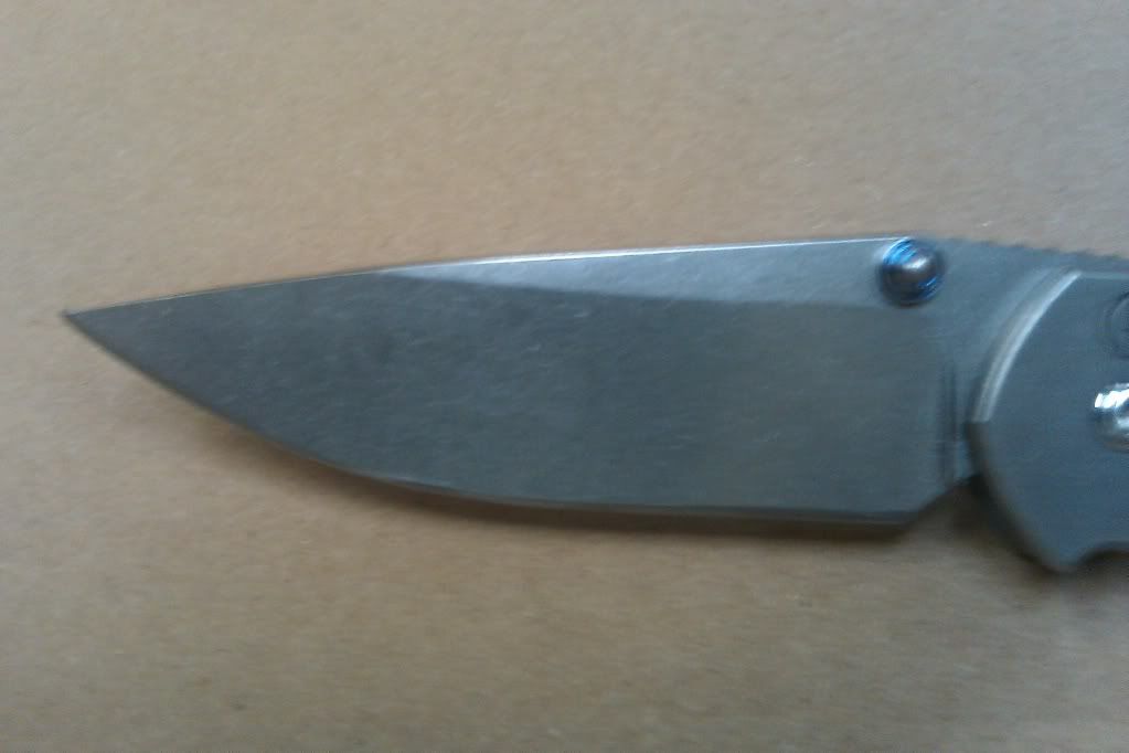 IMAG0115.jpg