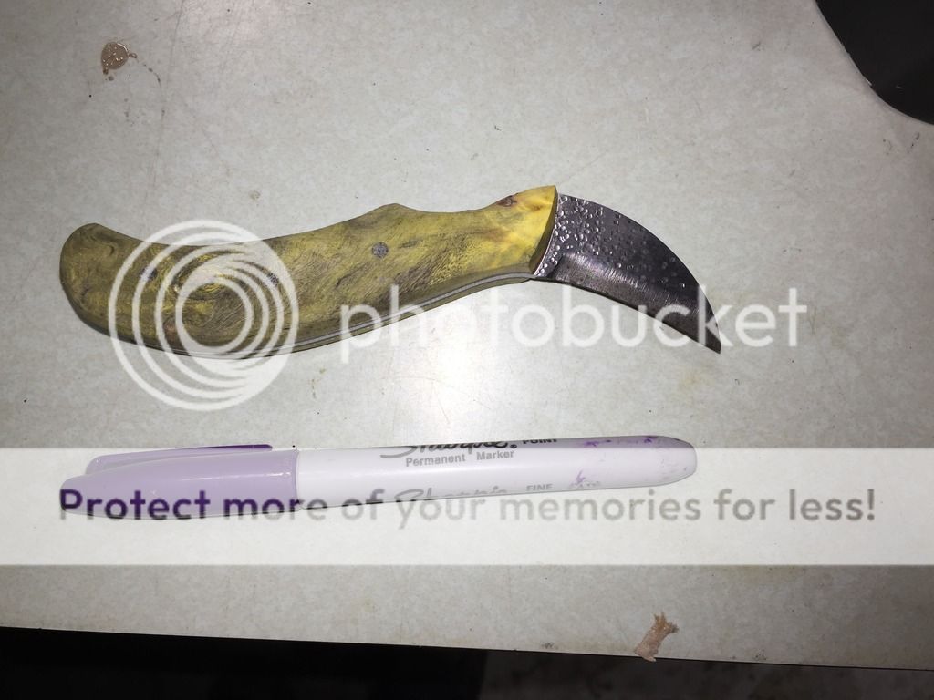 2C69BFE7-3A26-404B-AA2F-E98B246D2A22.jpg