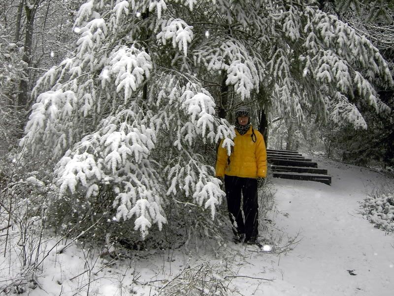 snow021.jpg
