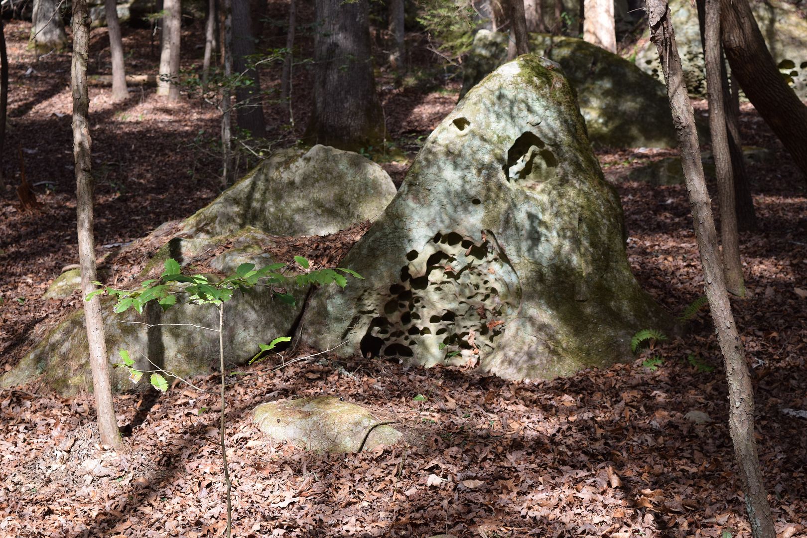 DSC_0028_zpstlgjgf1g.jpg