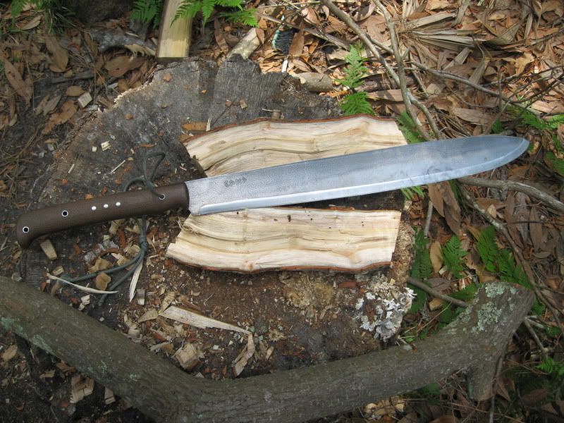 Koyote003.jpg