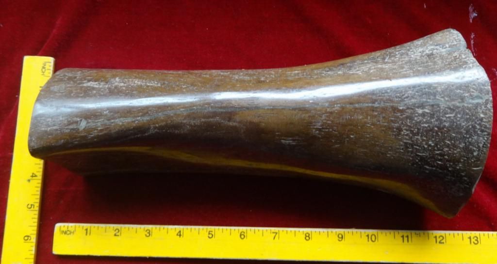 mammothbone1_zpsb7e74acd.jpg