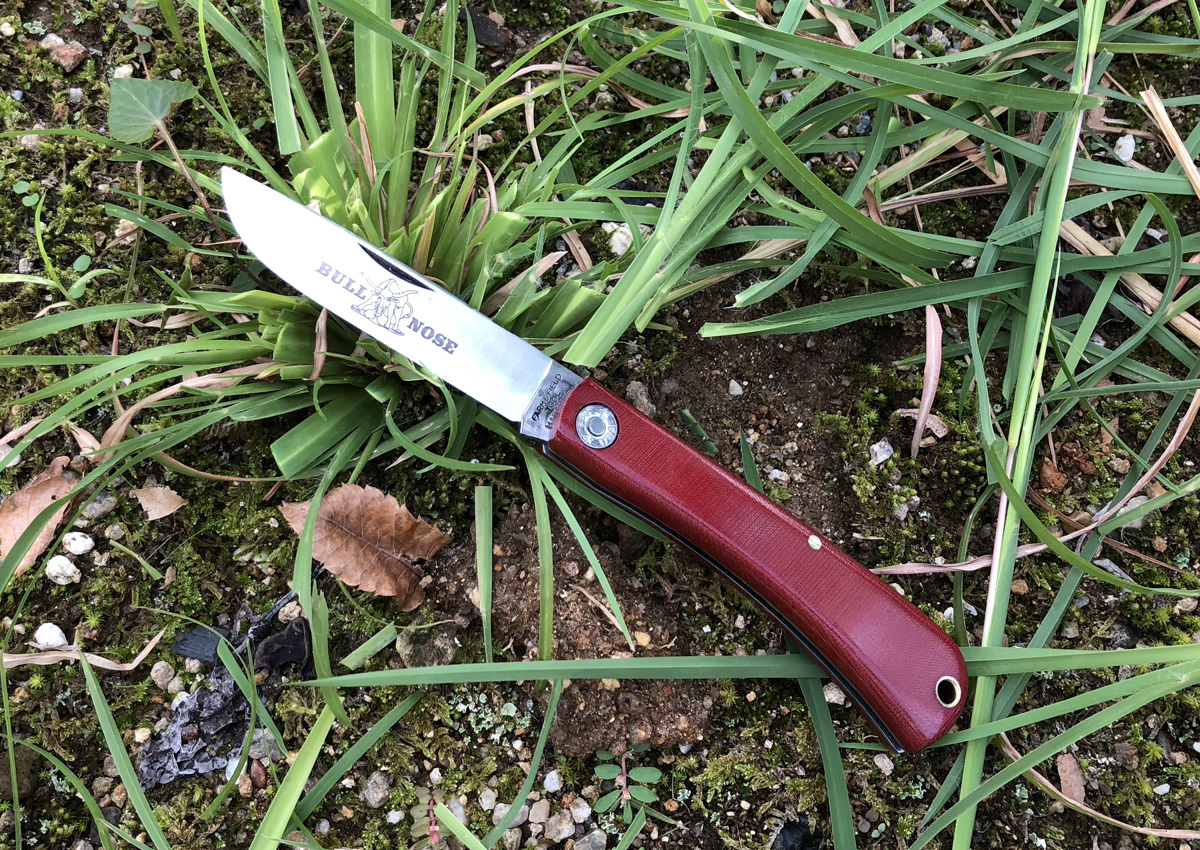 Bullnose1.JPG