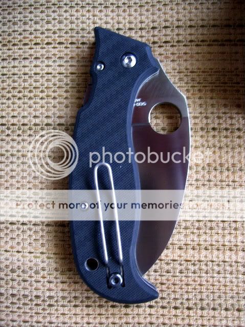 100_0799.jpg