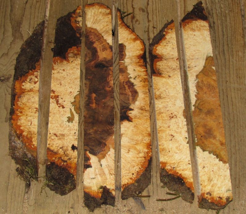 cut015.jpg