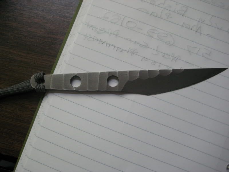 ansonecker006.jpg