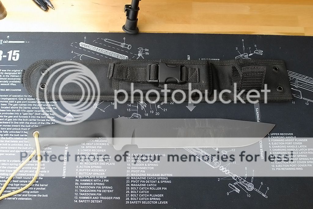 DSC_0463_1351.jpg~original