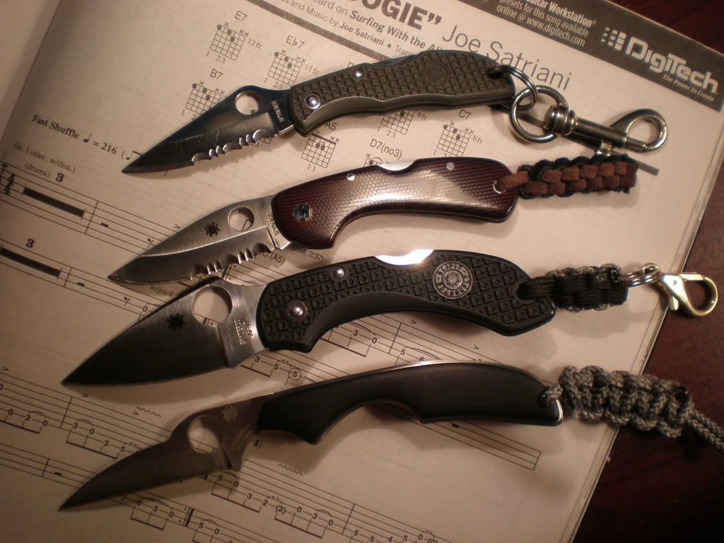 smallspydies.jpg