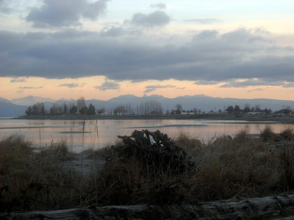 DSCN0270.jpg
