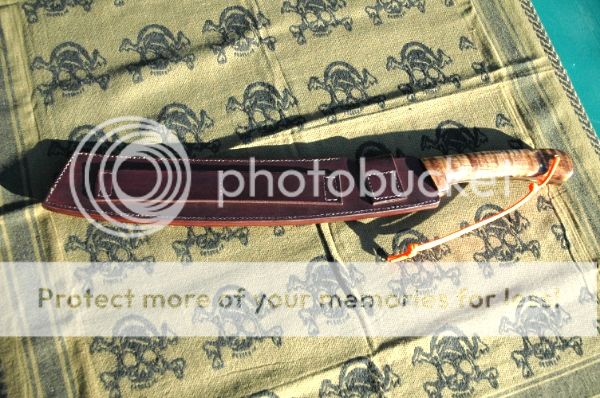 DSC_0259_zpse1da0e4e.jpg