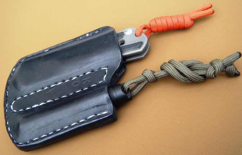 PocketCarry2.jpg
