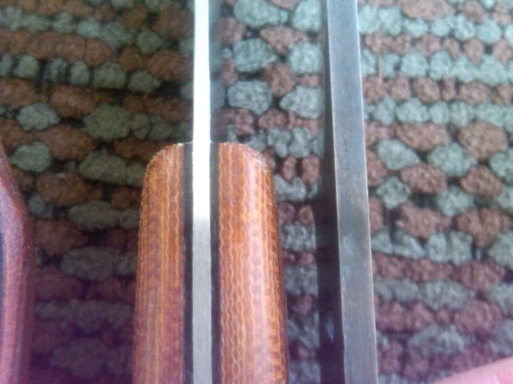 IMG00324-20110213-1002.jpg
