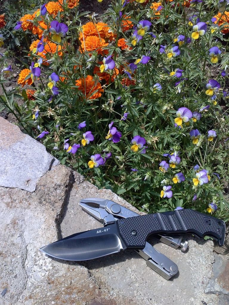 CAM03244_zps12pvwmzz.jpg