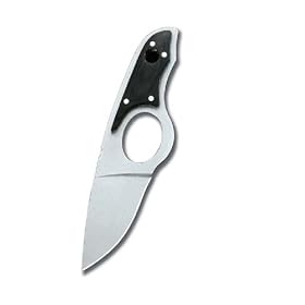 31gA1ApiteL._SL500_AA280_.jpg