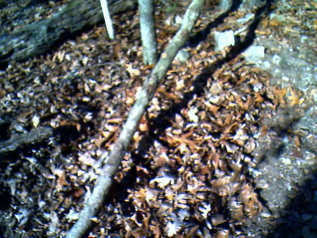 IMG00942.jpg