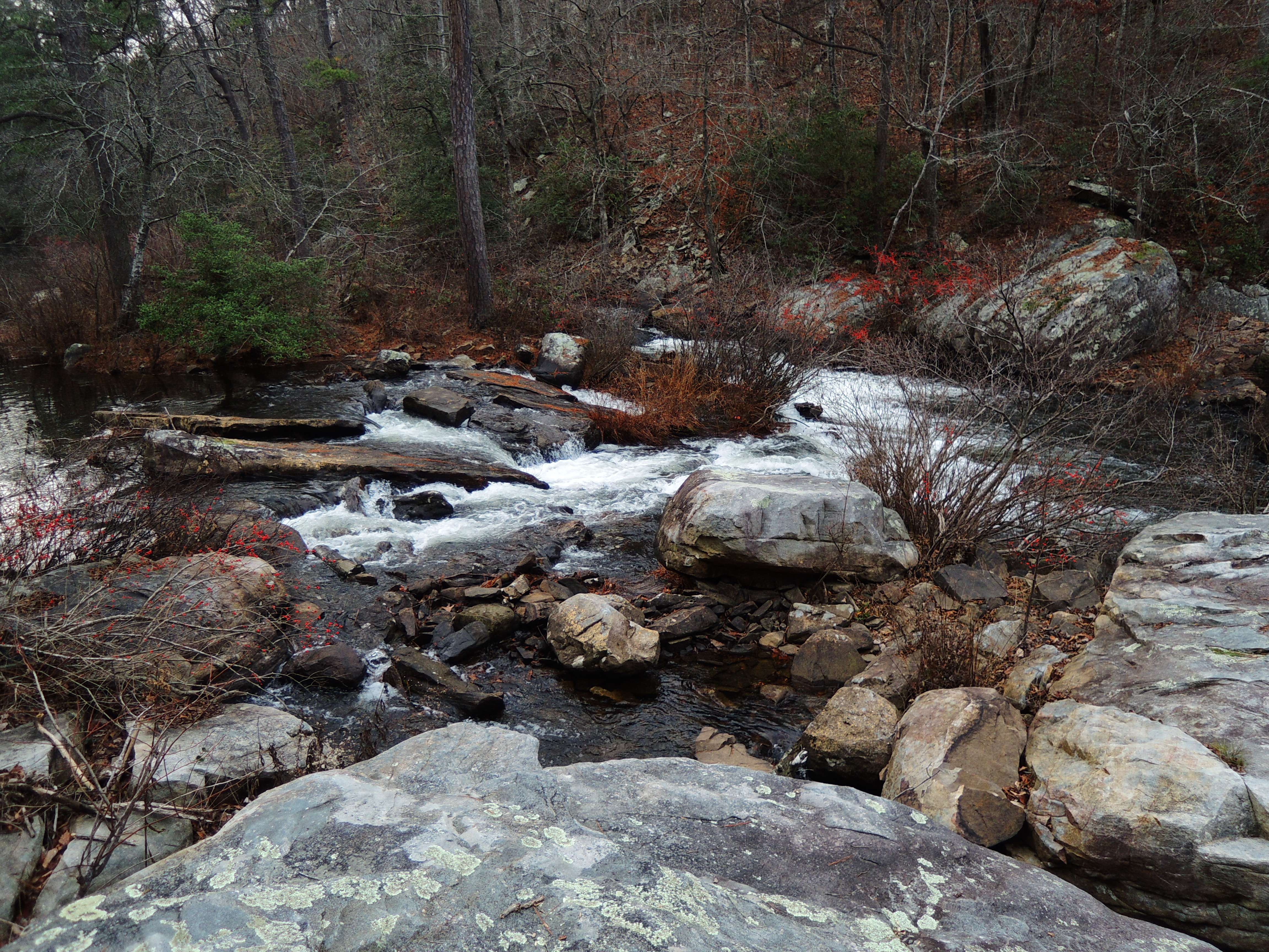 dscn3790e.jpg