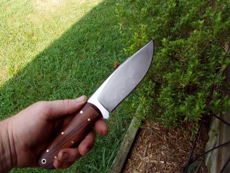 CarolinaHunterII004.jpg