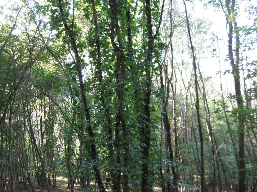 trip2september_2010.jpg