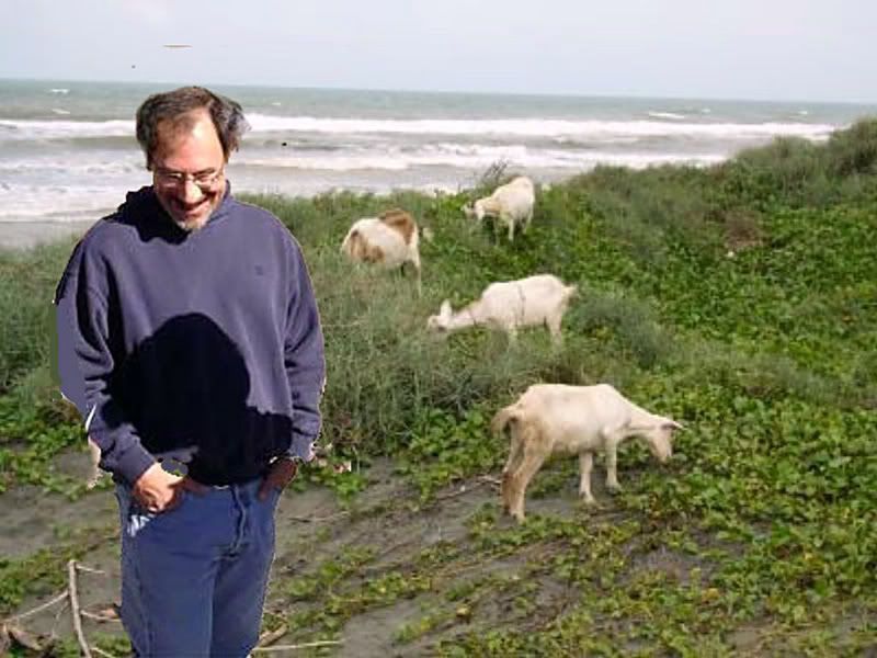 beachgoatsandGus.jpg