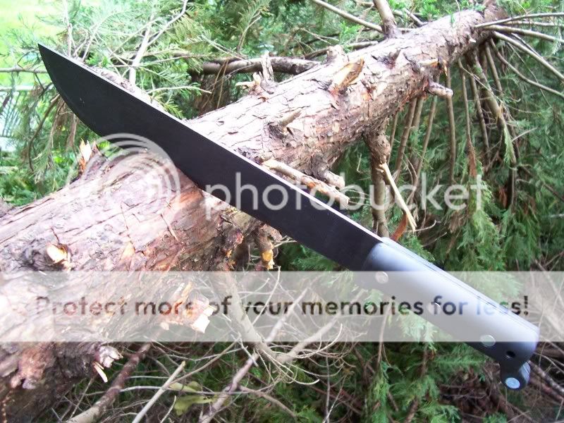 OKC12inMchteSde.jpg