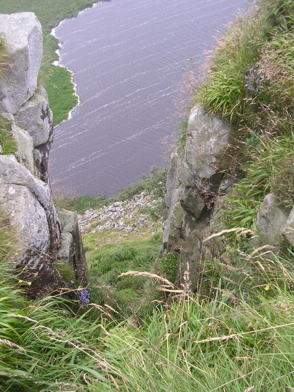 DSCN4469.jpg