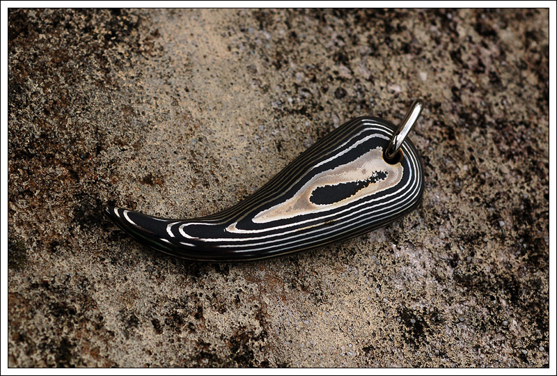 271109claws6.jpg