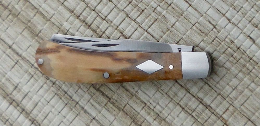 DSCN7216_zpseoifkgzh.jpg