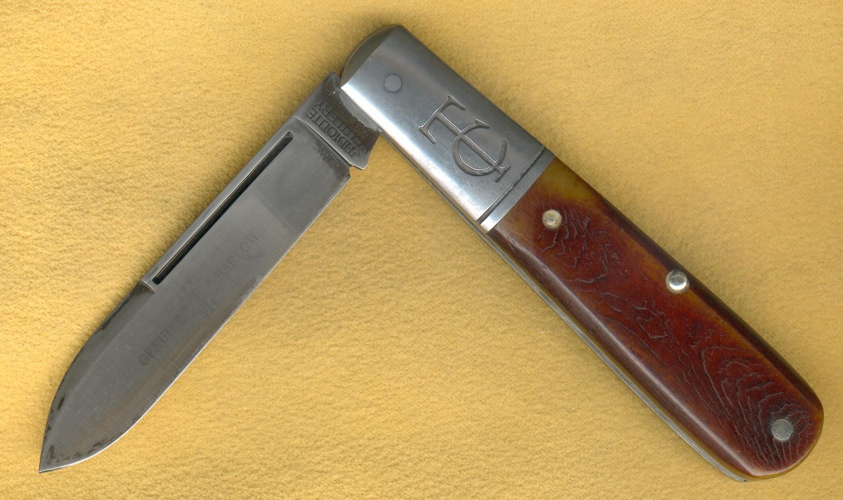 TCatone1.jpg