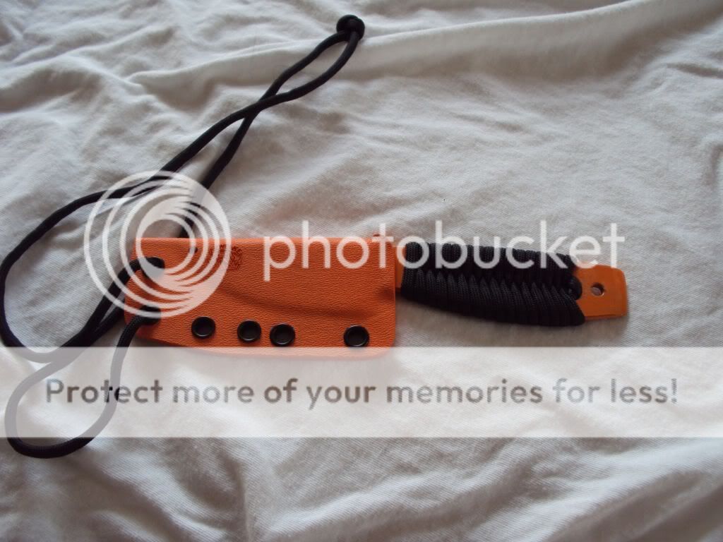 DSC05644_zpsb44444ff.jpg