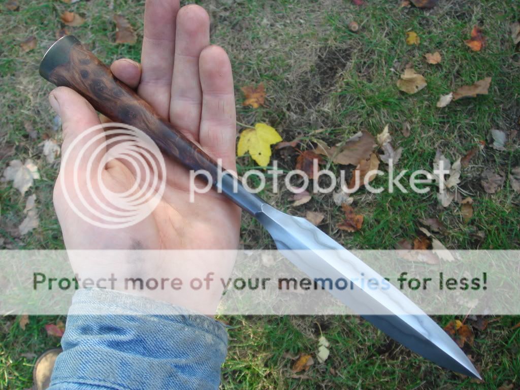 DSC02492.jpg